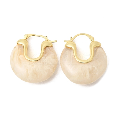 Brass Resin Hoop Earrings EJEW-P333-11C-G01-1