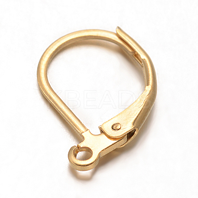 Ion Plating(IP) 304 Stainless Steel Leverback Earring Findings X-STAS-F075-37-1