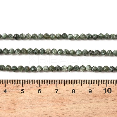 Natural Seraphinite Beads Strands G-K376-A02-4mm-1