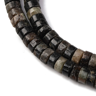 Natural Biotite Beads Strands G-L624-I12-3x6mm-1