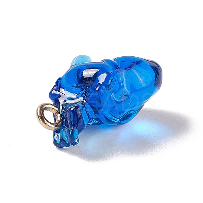 Transparent Resin Pendants RESI-E028-01G-05-1