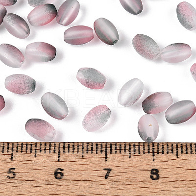 Frosted Glass Seed Beads SEED-N008-05J-1