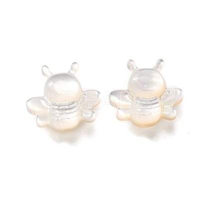 Natural White Shell Beads BSHE-Z008-06-1