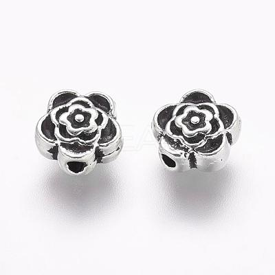 Tibetan Style Alloy Beads X-LF0590Y-1