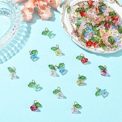 Glass & Acrylic Charms FIND-YW0006-91A-1