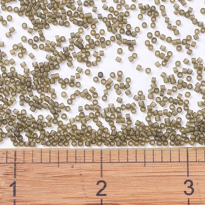 MIYUKI Delica Beads LS-X-SEED-J020-DB0384-1