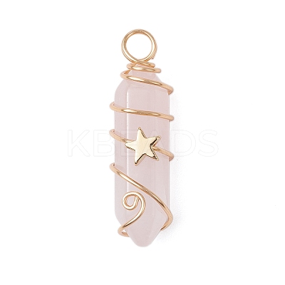 2Pcs 2 Styles Natural Amethyst/Green Aventurine/Rose Quartz/Lapis Lazuli/Quartz Crystal Double Terminated Pointed Pendants PALLOY-JF03122-1