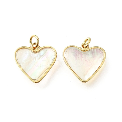 Natural White Shell & Epoxy Resin Charms KK-E794-02G-06-1