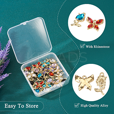 24Pcs 12 Style Glass Rhinestone Pendants FIND-TA0003-03-1