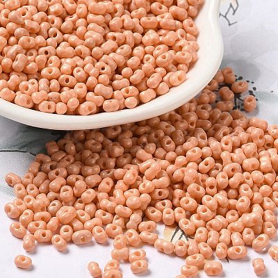 Baking Paint Glass Seed Beads SEED-K009-01B-13-1