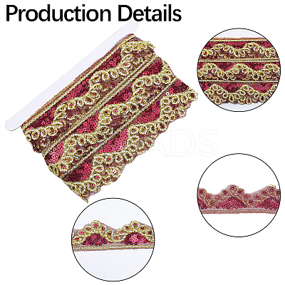 Sparkle Polyester Lace Ribbon SRIB-WH20020-049C-1