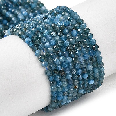 Natural Apatite Beads Strands G-K366-C07-2mm-1