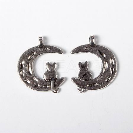 Tibetan Style Alloy Pendants LS-TIBEP-A124576-AS-FF-1