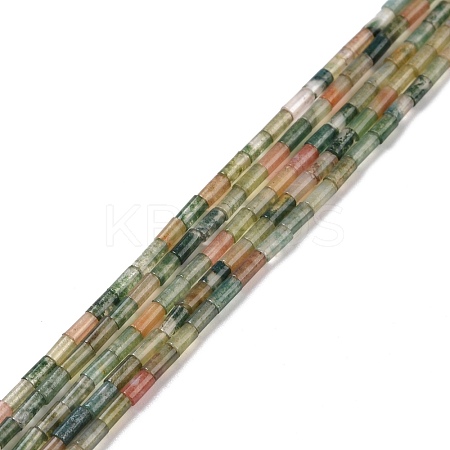 Natural Indian Agate Beads Strands G-M389-14-1