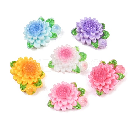 Opaque Resin Cabochons RE-CBAA0C5-04-1