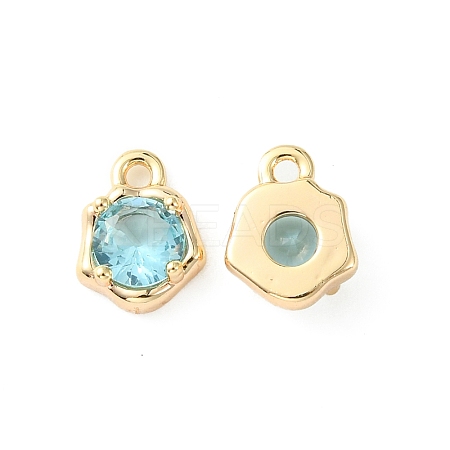 Brass Micro Pave Cubic Zirconia Charms KK-L208-10G-06-1