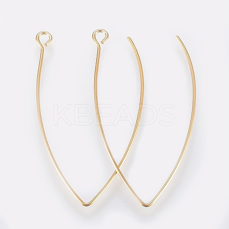 PVD Vacuum Plating 304 Stainless Steel Earring Hooks LS-X-STAS-K184-05-01G-1