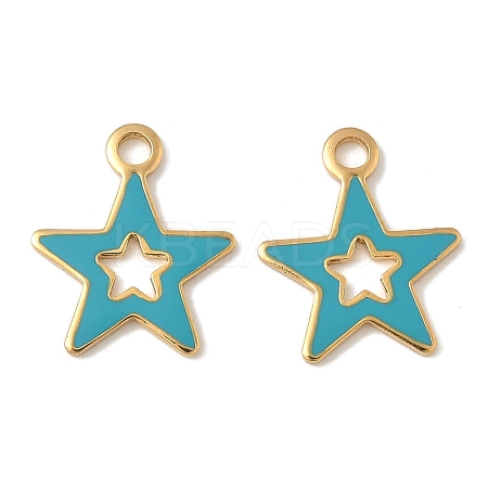 304 Stainless Steel Enamel Charms STAS-U057-13G-02-1