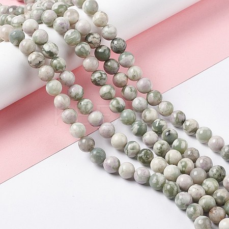 Natural Peace Jade Beads Strands X-G-G905-07-6MM-1