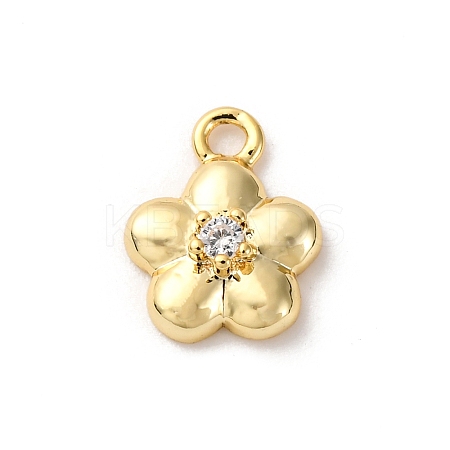 Brass Micro Pave Cubic Zirconia Charms LS-KK-D371-04A-G-1