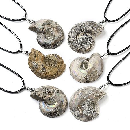 Natural Conch Fossil Pendant Necklaces G-P552-01P-1