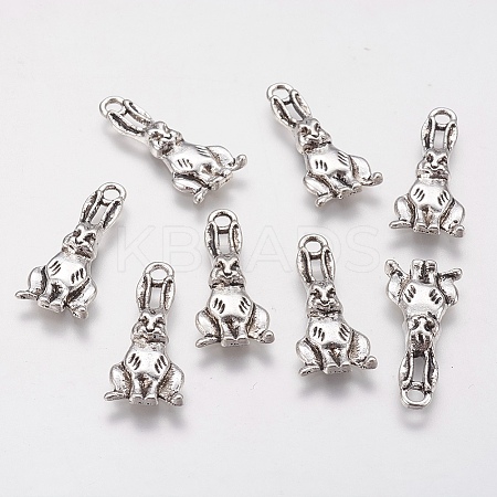 Tibetan Style Alloy Pendants LS-PALLOY-A15373-AS-NF-1
