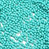 Baking Paint Glass Seed Beads X1-SEED-A033-05O-3