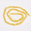 Natural Malaysia Jade Beads Strands G-D165-B-05-3