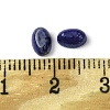 Natural Lapis Lazuli Cabochons G-A094-01A-04-3