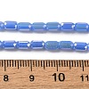 Electroplate Glass Beads Strands EGLA-D031-01-06-4