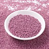 MIYUKI Round Rocailles Beads SEED-G007-RR0645-2