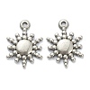 Non-Tarnish 304 Stainless Steel Pendants STAS-P279-18A-P-1