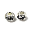Printed Transparent Resin European Beads RESI-C063-03E-2