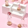 15Pcs 3 Styles Glass Dome Cloche Cover AJEW-YW0001-08-2