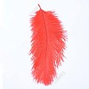 Ostrich Feather Costume Accessories FIND-ZX005-11B-1