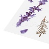 Flower Pattern Waterproof Self Adhesive Hot Stamping Stickers DIY-I063-07-4