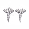 Non-Tarnish 304 Stainless Steel Pendants STAS-F249-13P-1