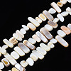 Natural Trochid Shell/Trochus Shell Beads Strands SHEL-S258-082-A01-1