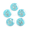 Synthetic Turquoise Charms G-L561-001G-1