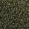 MIYUKI Delica Beads SEED-MY11-DB2404-2