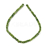 Handmade Lampwork Beads Strands LAMP-Q037-02B-10-2