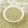 MIYUKI Round Rocailles Beads SEED-JP0009-RR0554-2