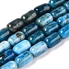 Natural Apatite Beads Strands G-G980-51B-1