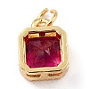 Real 18K Gold Plated Brass Inlaid Cubic Zirconia Charms ZIRC-L100-073G-04-3