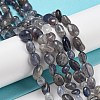 Natural Iolite Beads Strands G-P497-01A-13-2