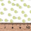 6/0 Transparent Inside Colours Glass Seed Beads SEED-N008-08J-4