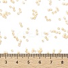 Cylinder Seed Beads SEED-H001-H11-3
