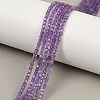 Natural Amethyst Beads Strands G-P457-B01-56-2