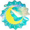 PET Rainbow Window Clings Stickers DIY-WH0409-70K-1