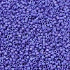 MIYUKI Delica Beads Small X-SEED-J020-DBS1597-3